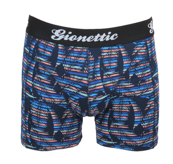 2-pack Gionettic Heren boxershorts print Palm