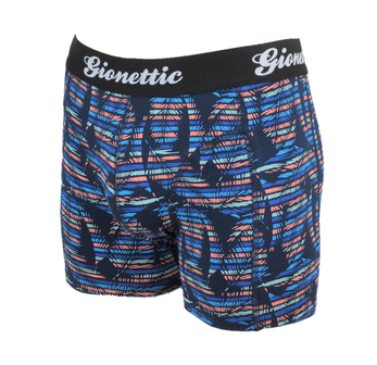 2-pack Gionettic Heren boxershorts print Palm