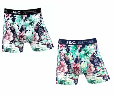 2-pack Heren Boxershorts H250 J&amp;C katoen geprint 