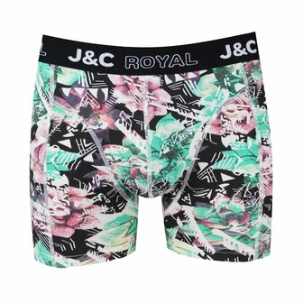 2-pack Heren Boxershorts H250 J&amp;C katoen geprint 