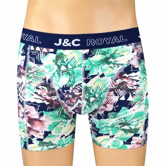2-pack Heren Boxershorts H250 J&amp;C katoen geprint 
