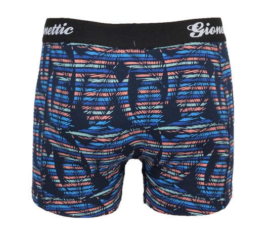 2-pack Gionettic Heren boxershorts print Palm