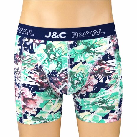 2-pack Heren Boxershorts H250 J&C katoen geprint 